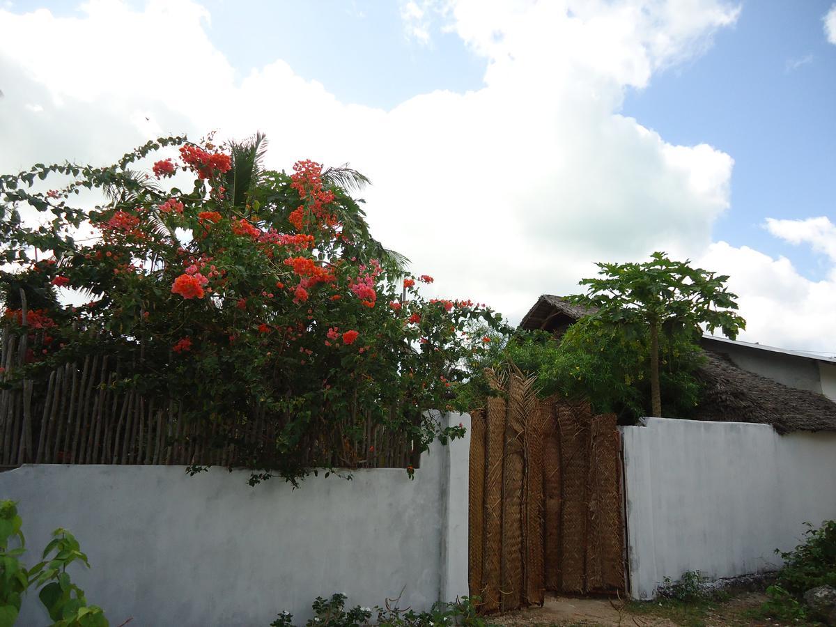 Jambiani Home Stay Ngoại thất bức ảnh